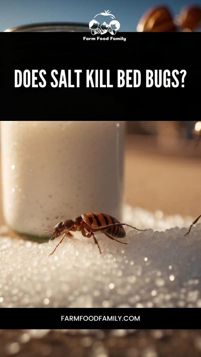 Does Salt Kill Bed Bugs Examining Efficacy and Alternatives (2024)
