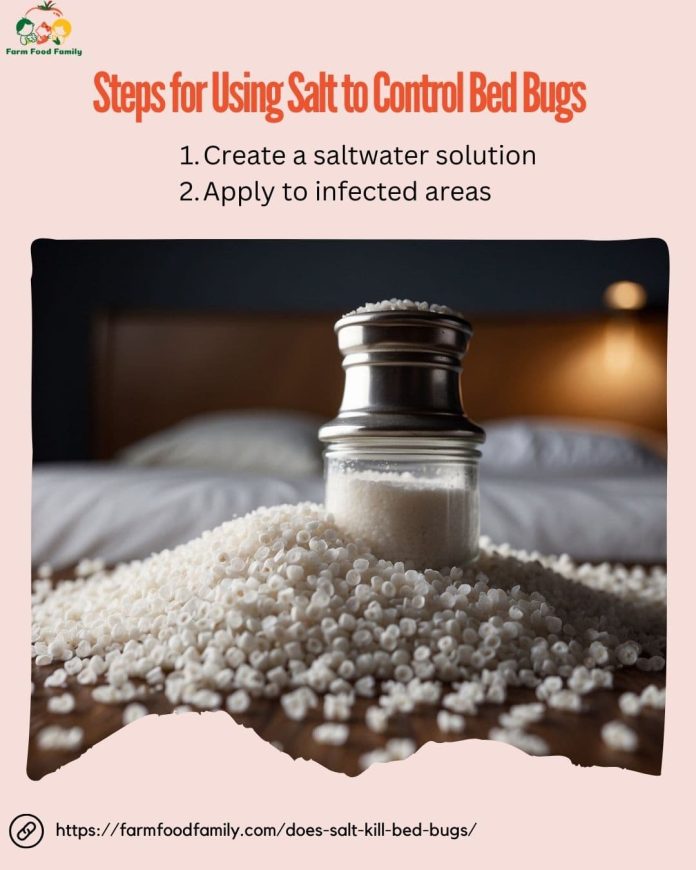 Does Salt Kill Bed Bugs Examining Efficacy and Alternatives (2024)