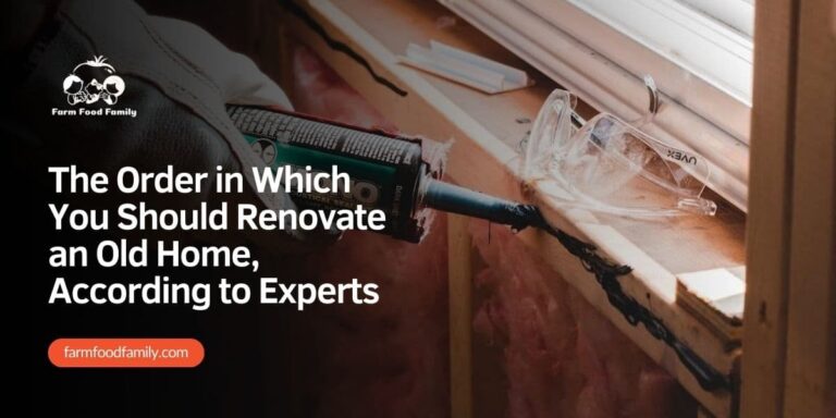 The Order in Which You Should Renovate an Old Home, According to Experts