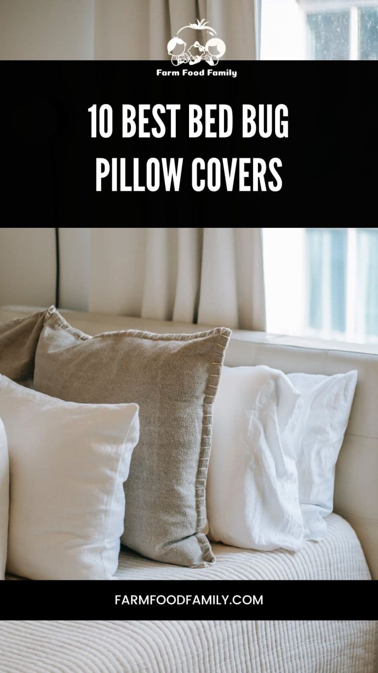 10 Best Bed Bug Pillow Covers 2024 Expert Picks FarmFoodFamily