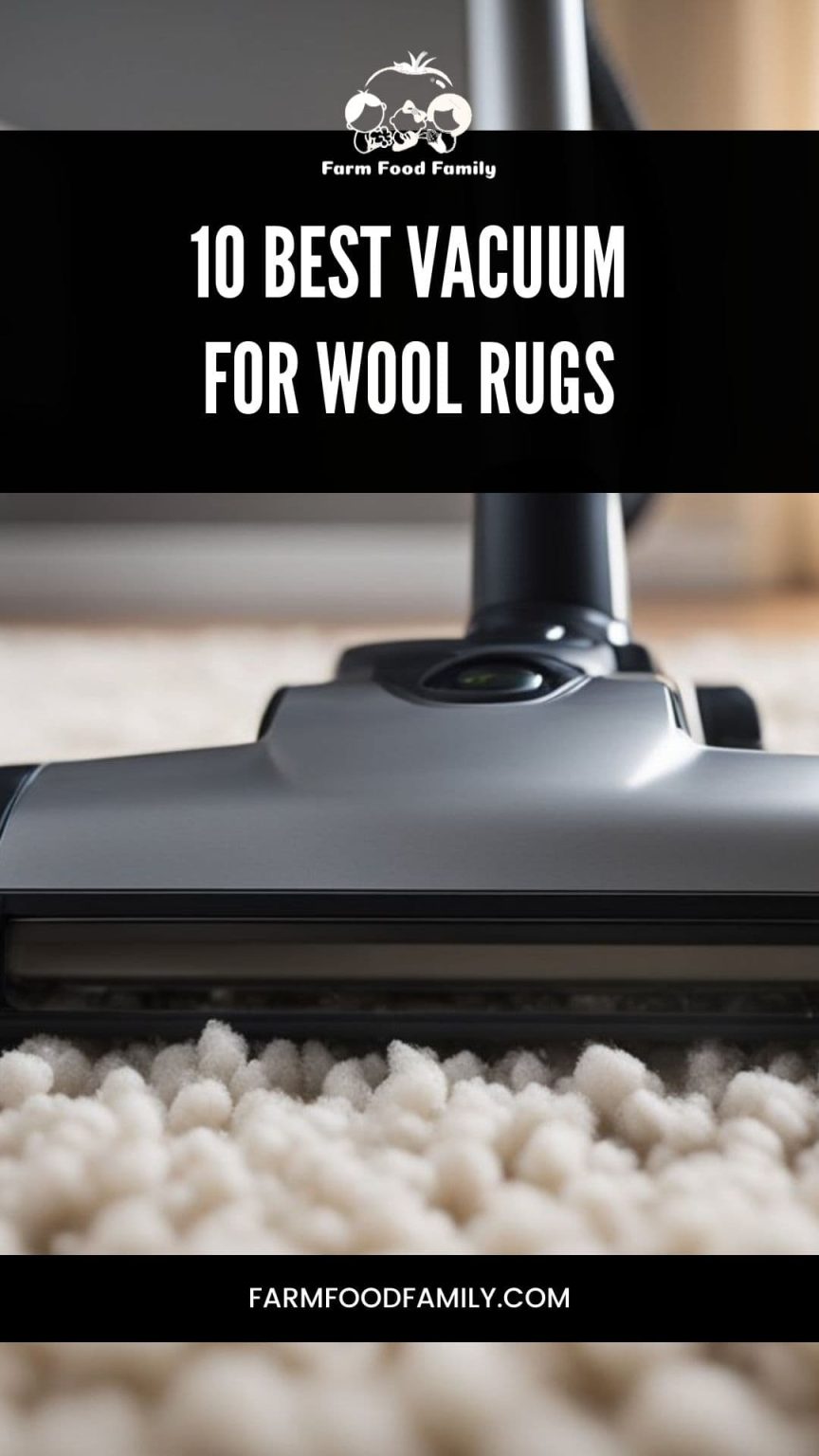 Best Vacuum for Wool Rugs (2024) Top 10 Picks, Reviewed