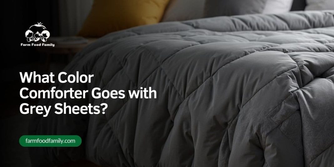 What Color Comforter Goes with Grey Sheets? (20 Best Ideas)