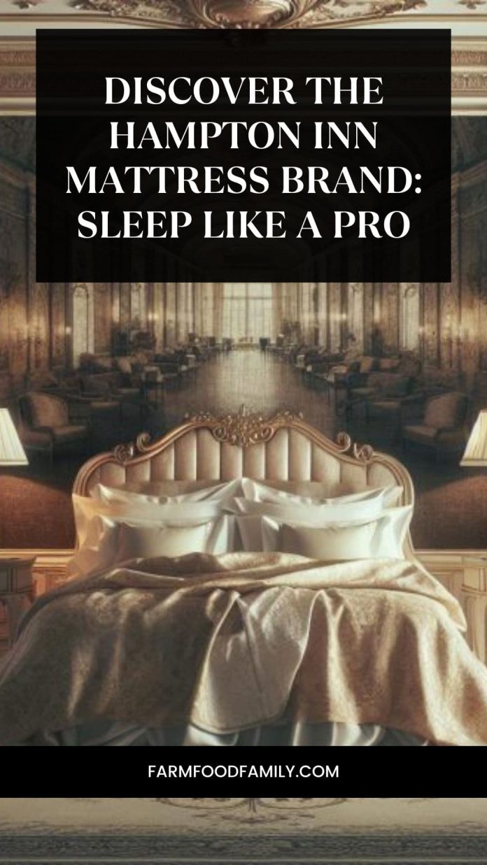 What Mattress Does Hampton Inn Mattress Use Sleep Like a Pro
