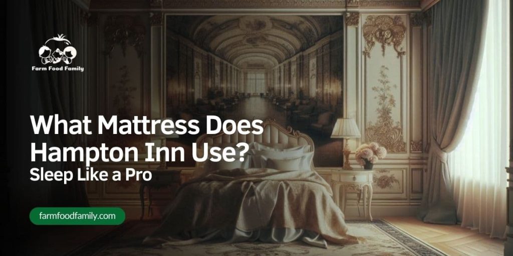 What Mattress Does Hampton Inn Mattress Use Sleep Like a Pro
