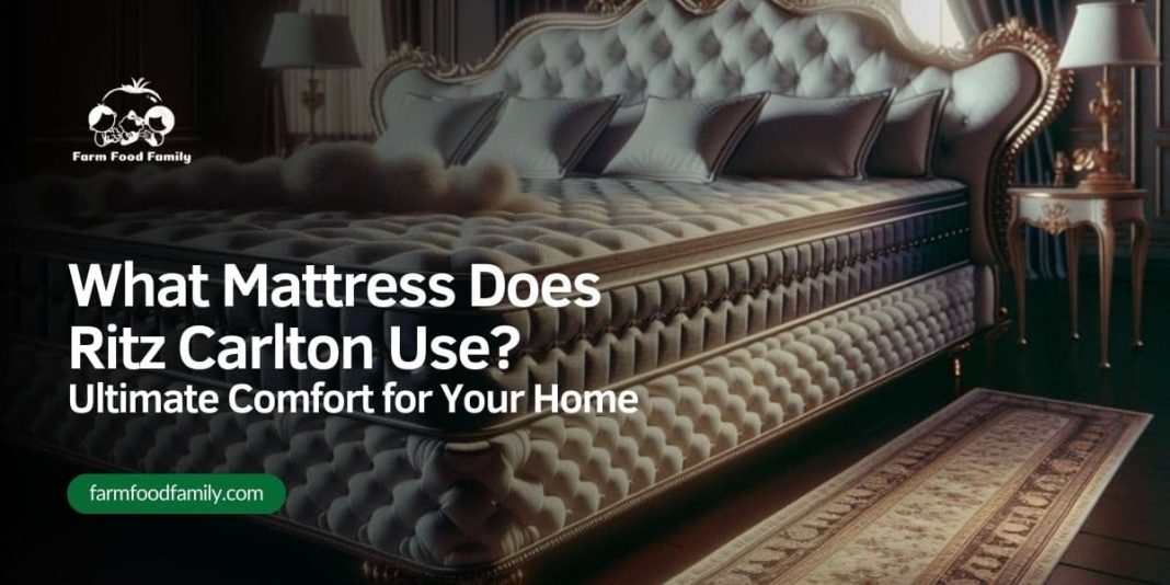 What Mattress Does Ritz Carlton Use Ultimate Comfort for Your Home