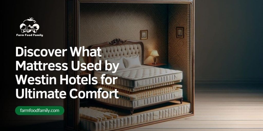 Discover What Mattress Used by Westin Hotels for Ultimate Comfort