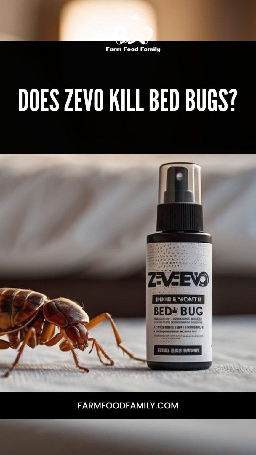 Does Zevo Kill Bed Bugs An Efficacy Overview (2024)