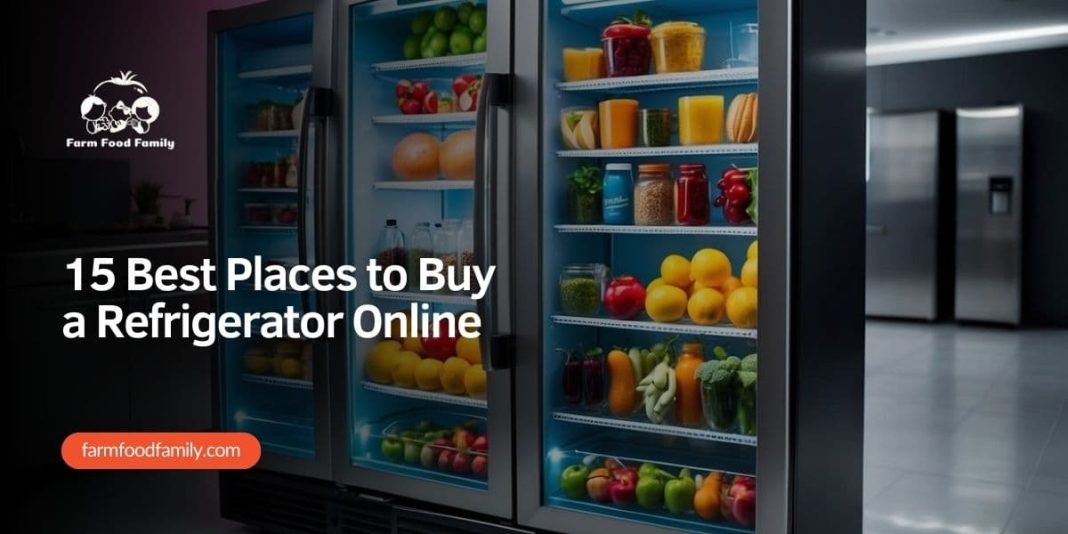 15 Best Places to Buy a Refrigerator Online (2024) Ultimate Guide