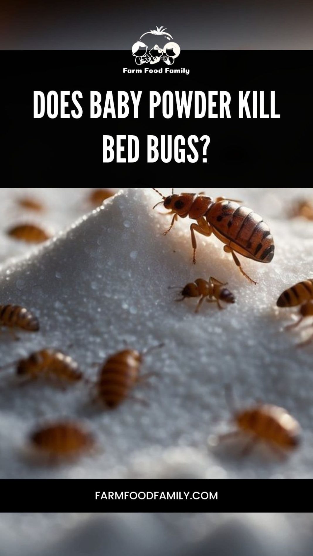 Does Baby Powder Kill Bed Bugs? (2024) FarmFoodFamily