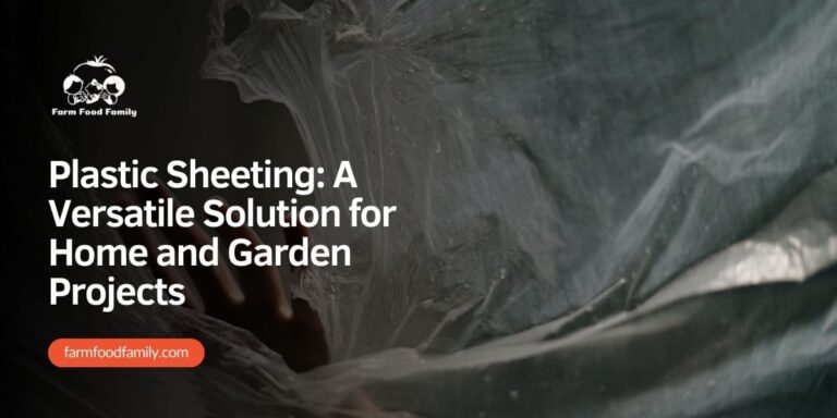 Plastic Sheeting: A Versatile Solution for Home and Garden Projects