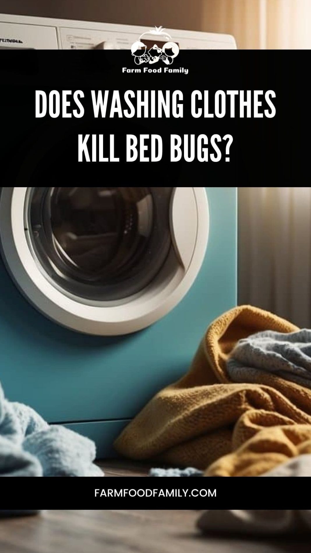 Does Washing Clothes Kill Bed Bugs Effective Laundry Strategies to