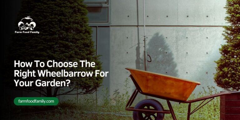 How To Choose The Right Wheelbarrow For Your Garden?