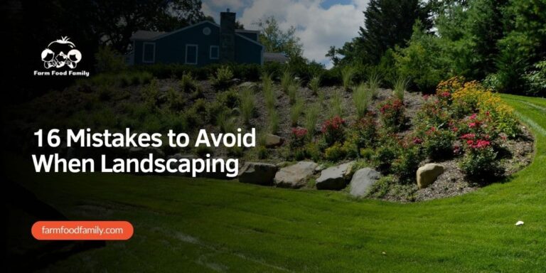 16 Mistakes to Avoid When Landscaping In [year] – Must Read!