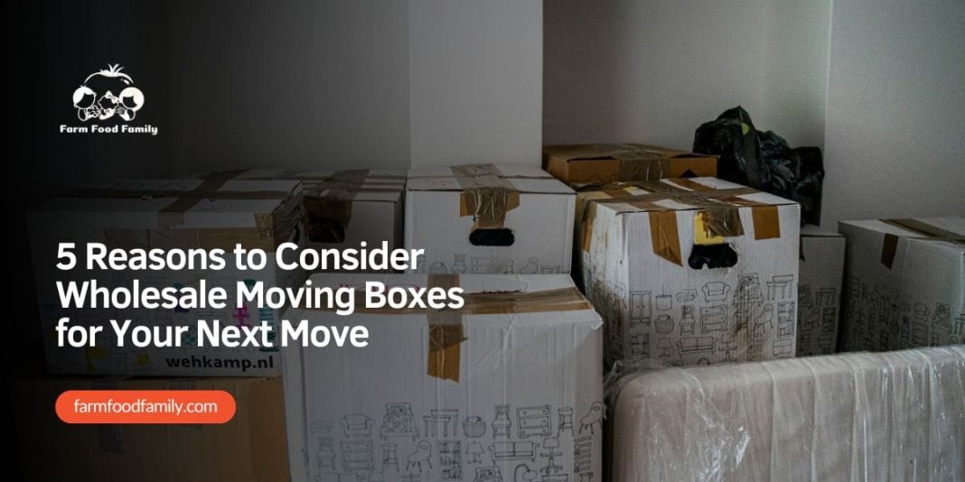 5 Reasons to Consider Wholesale Moving Boxes for Your Next Move