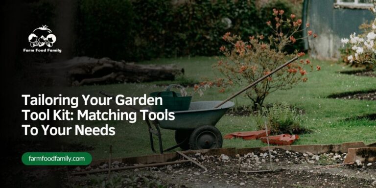 Tailoring Your Garden Tool Kit: Matching Tools To Your Needs