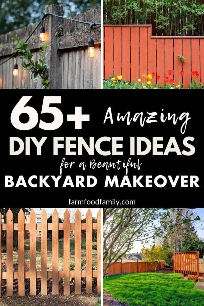 Backyard Fence Ideas Under $150