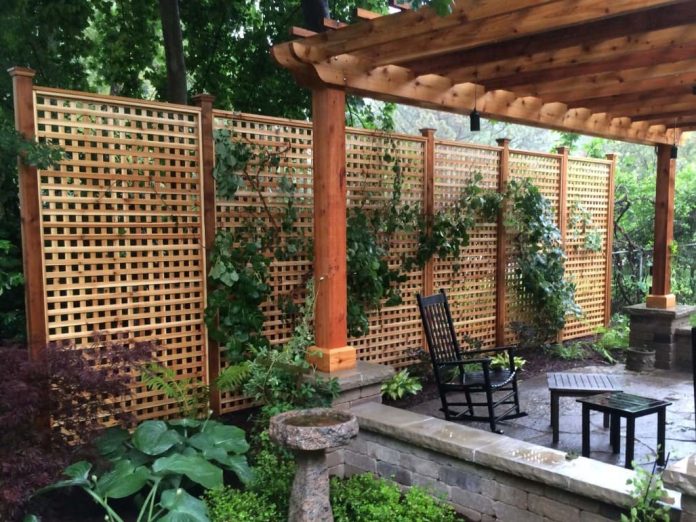 How to Create Privacy in Your Backyard Without a Fence (30 Creative Ideas)