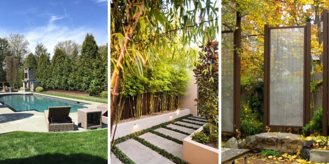 How to Create Privacy in Your Backyard Without a Fence (30 Creative Ideas)