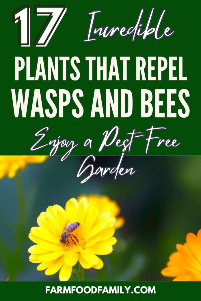 17 Best Plants That Repel Wasps and Bees (Flowers, Herbs, Vegetables)