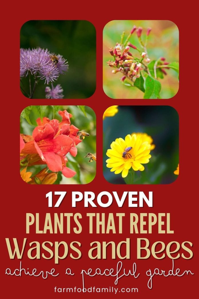 17 Best Plants That Repel Wasps and Bees (Flowers, Herbs, Vegetables)