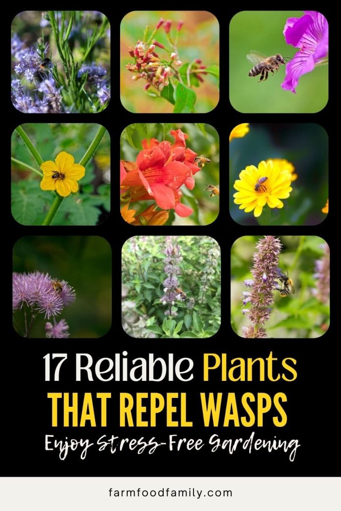 17 Best Plants That Repel Wasps and Bees (Flowers, Herbs, Vegetables)