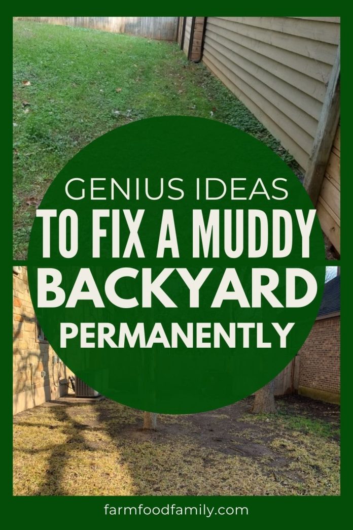 How to Fix a Muddy Backyard FarmFoodFamily
