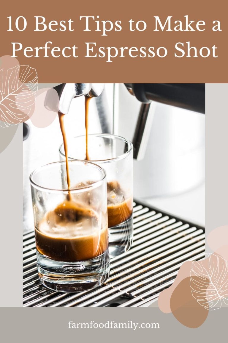10 Best Tips to Make a Perfect Espresso Shot with a Commercial Espresso