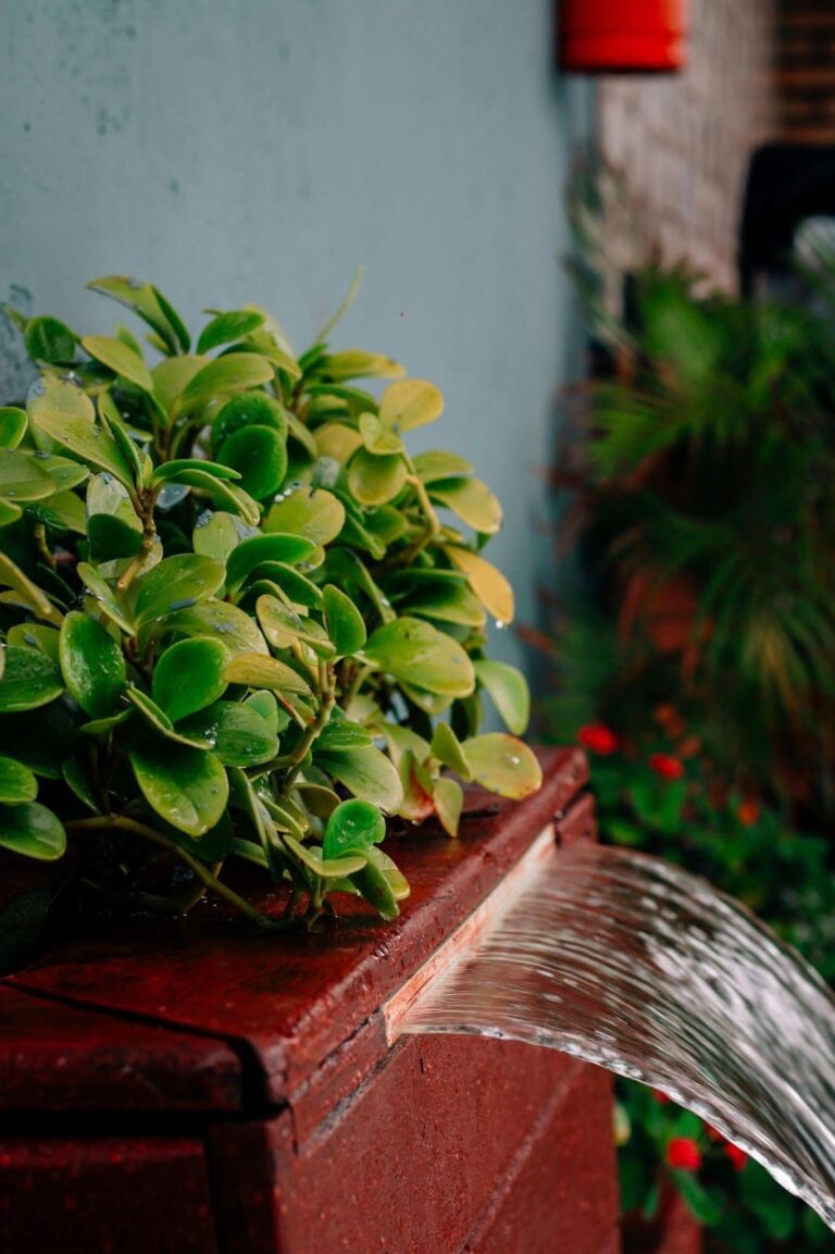 40+ Cheap Landscaping Ideas That’ll Make Your Yard Look Luxe (2025) | FarmFoodFamily