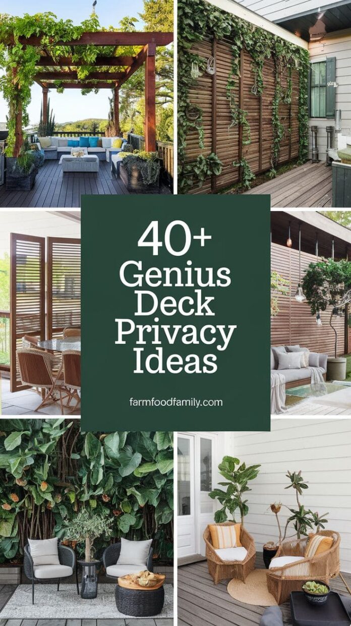 12+ Genius Deck Privacy Ideas That Actually Work (2026) | FarmFoodFamily