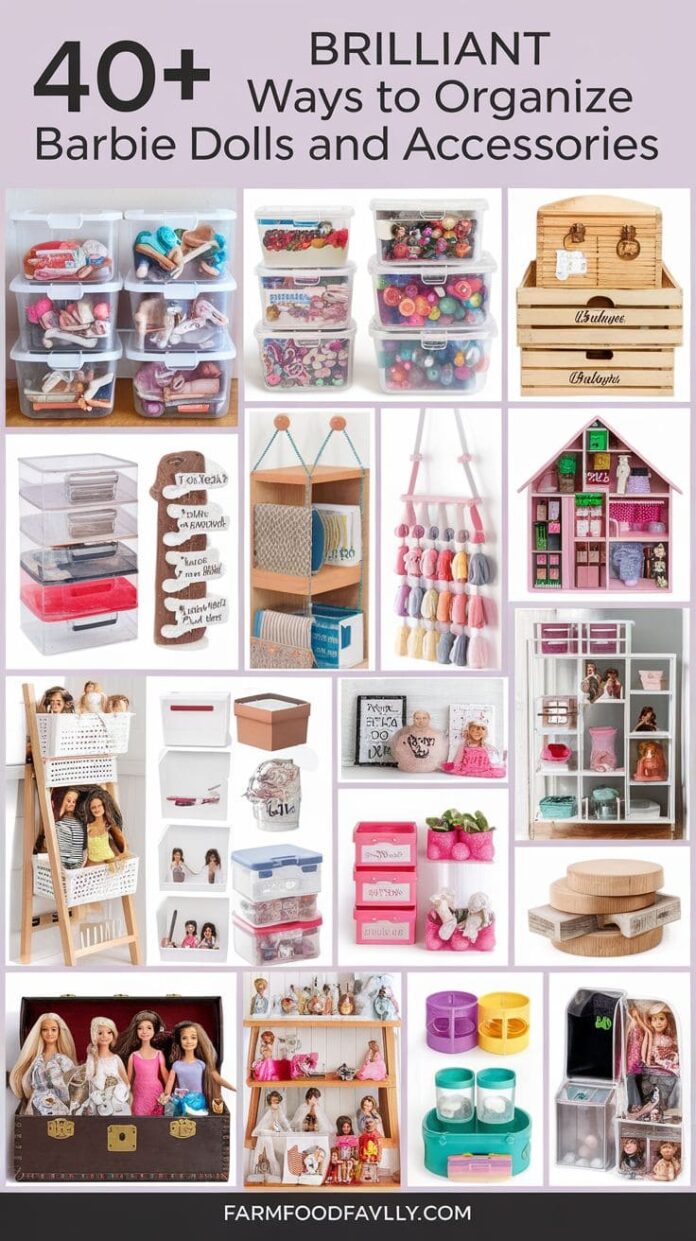 Barbie Storage Ideas Diy