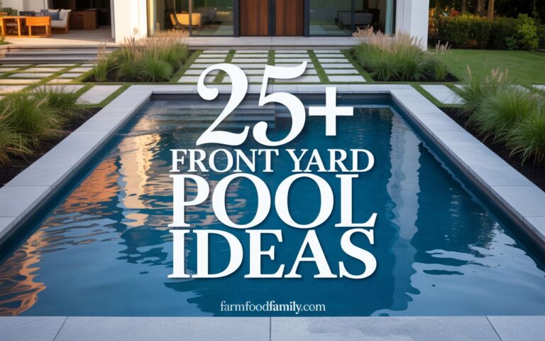 20+ Best Front Yard Pool Ideas