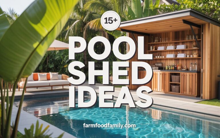 Poolside Shed Ideas: Towel Storage, Changing Area, and Snack Station