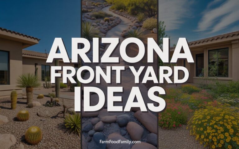 15+ Arizona Front Yard Landscaping Ideas (Plus What Actually Survives the Heat)